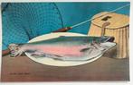 1950 hengelsport vis meerforel hengel net rieten vismand, Verzamelen, 1940 tot 1960, Overige thema's, Ongelopen, Verzenden
