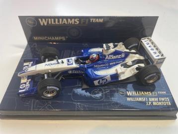 Williams BMW FW25 J.P. Montoya 2003 beschikbaar voor biedingen