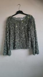 Top/ trui met glinsterpailletten, Ophalen of Verzenden, Nieuw, Zwart, Lange mouw