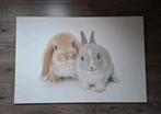 Schilderij canvas konijnen, Huis en Inrichting, Ophalen, Zo goed als nieuw, Schilderij, 100 tot 125 cm