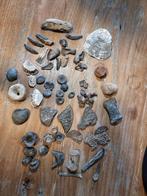 Fossielen, Verzamelen, Ophalen of Verzenden, Fossiel