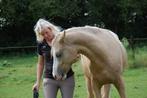 Coaching mbv paarden, Persoonlijke ontwikkeling