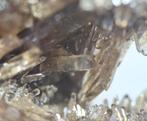 Bariet - Frankrijk, Verzamelen, Mineralen en Fossielen, Ophalen of Verzenden, Mineraal