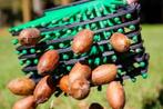 Stab-A-Nut, de ultieme noten raper!, Tuin en Terras, Planten | Fruitbomen, Ophalen of Verzenden