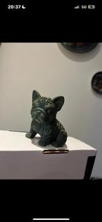 Franse bulldog, Ophalen of Verzenden, Nieuw, Dier