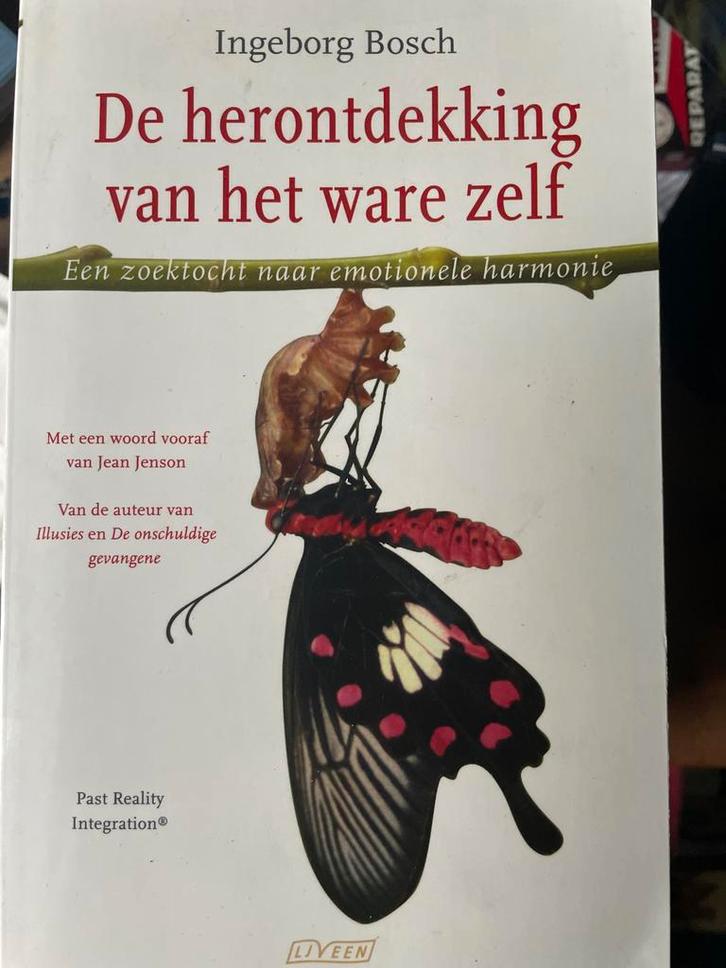 De herontdekking van het ware zelf - Ingeborg Bosch, Boeken, Psychologie, Zo goed als nieuw, Klinische psychologie, Ophalen of Verzenden