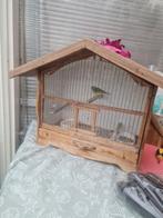 Te koop .geringt mizambyksijs man., Dieren en Toebehoren, Ophalen of Verzenden, Metaal, Vogelkooi