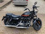Harley Davidson forty-eight special 1200 cc uit 2019, Motoren, Motoren | Harley-Davidson, 1200 cc, Particulier, 2 cilinders, Chopper