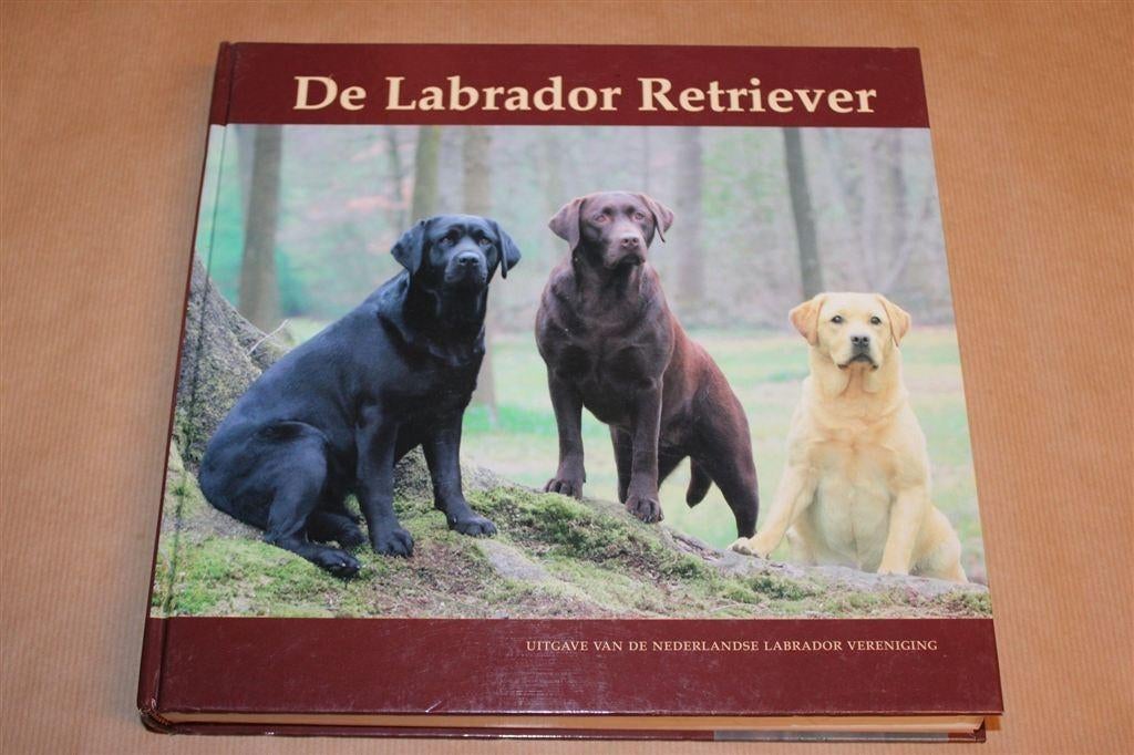 De Labrador Retriever – Compleet Handboek, Ophalen of Verzenden, Zo goed als nieuw, Honden