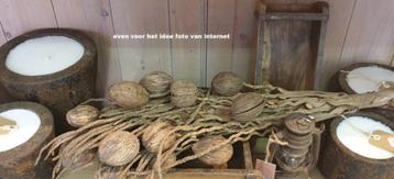 Natuurlijk Stoer, tak met Cocos ballen decoratie tak  beschikbaar voor biedingen