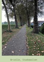 Uitlaten van hondje, Januari, Mannelijk