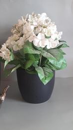 Huiskamer bloempot zwart, N.v.t., N.v.t., Rond, Binnen