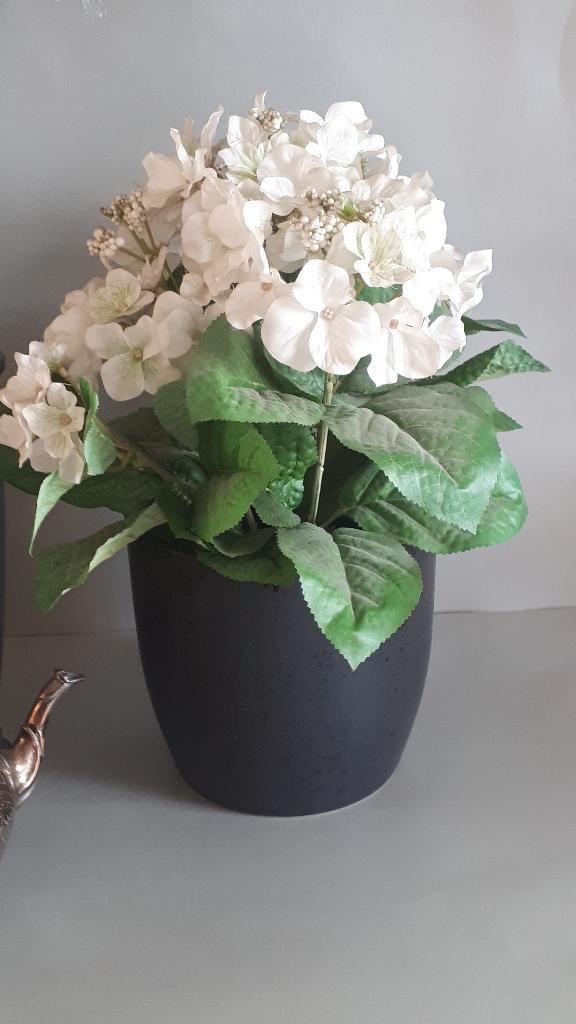 Huiskamer bloempot zwart, Tuin en Terras, Bloempotten, Zo goed als nieuw, Aardewerk, Binnen, Minder dan 40 cm, Minder dan 25 cm