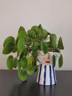 Pannenkoekplant in aardewerk pot met Gezicht, Tuin en Terras, Bloempotten, Ophalen, Rond, Binnen, Zo goed als nieuw