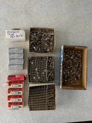 Collectie Osram lampjes | Toshiba 24V 0.25A beschikbaar voor biedingen