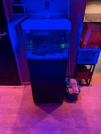 Blue Marine 90l, Dieren en Toebehoren, Ophalen, Zo goed als nieuw, Verlichting of Verwarming