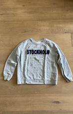 Grijze sweater ronde hals dames stockholm blauw maat M, Ophalen of Verzenden, Zo goed als nieuw, Maat 38/40 (M), Blauw