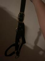 Paarden halster, Ophalen of Verzenden, Zo goed als nieuw, Overige soorten