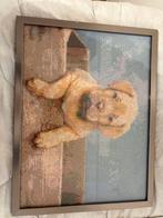 Diamond painting schilderij - Hond, Ophalen of Verzenden, Zo goed als nieuw, Overige materialen, 50 tot 75 cm