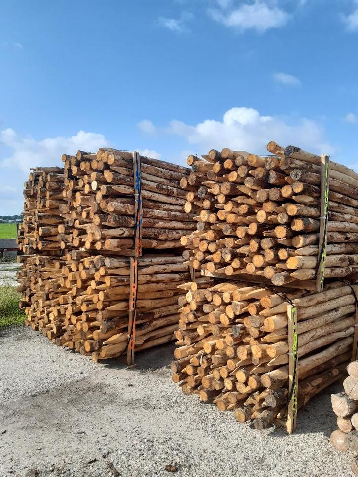 Kastanjehouten palen voor tuinverlichting 500cm lang 10/12cm, Tuin en Terras, Palen, Balken en Planken, Nieuw, Palen, 250 cm of meer