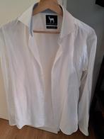 Blumfontain overhemd - Wit - Maat S, Halswijdte 38 (S) of kleiner, Wit, Ophalen of Verzenden, Zo goed als nieuw