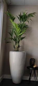 Prachtige creme kleurige aardewerken pot 93cm hoog, Tuin en Terras, Bloempotten, Ophalen, Rond, 40 cm of meer, 40 tot 70 cm