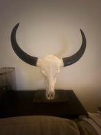 Buffel schedel, Ophalen of Verzenden, Zo goed als nieuw