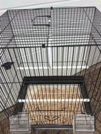 Mooie kanariekooi ok te gebruiken voor parkieten, Dieren en Toebehoren, Nieuw, Ophalen of Verzenden, Info@birdtrade.nl, Birdtrade