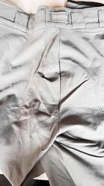 Diverse kleuren rijbroeken o.a merk Anky, Dieren en Toebehoren, Paardrijkleding, Gebruikt, Overige soorten, Dames, Onderkleding