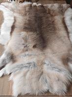 Prachtig rendiervacht, Ophalen of Verzenden, Rechthoekig