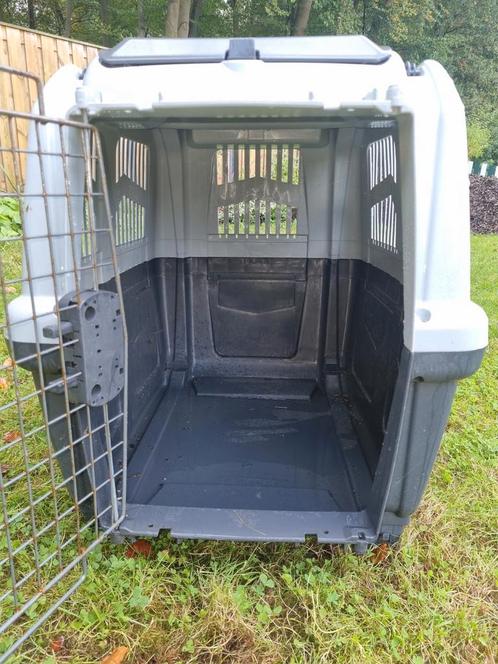 Fantastische professionele SKUDO transportbox 75 L 48 B 64 H, Dieren en Toebehoren, Transportboxen, Zo goed als nieuw, Ophalen