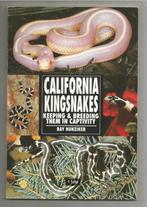 California Kingsnakes/Californische koningsslangen, Ophalen of Verzenden, Zo goed als nieuw, Reptielen of Amfibieën