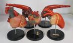 vintage collectie anatomische modellen harten Somso 5A, Antiek en Kunst, Verzenden