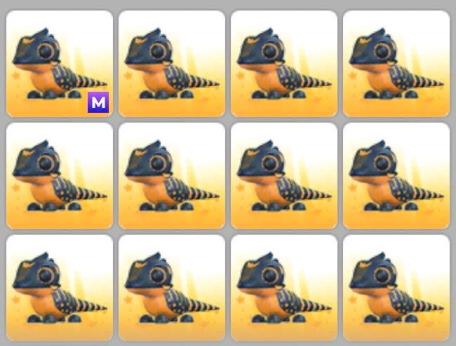 13 Tegu’s - 1 mega, 12 normaal