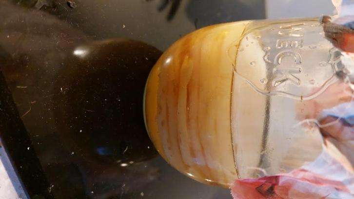 Scoby's, Diversen, Levensmiddelen, Ophalen