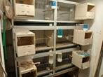 kweekkooien, Ophalen, Zo goed als nieuw, Aluminium, Broedkooi of Kweekkooi