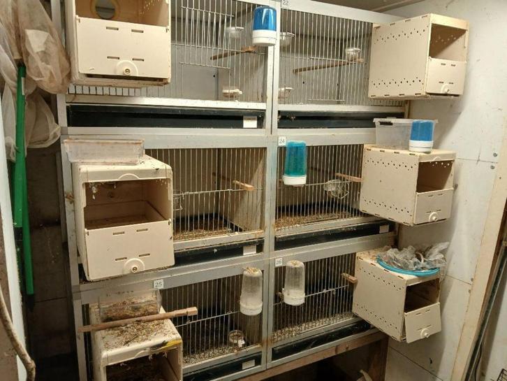 kweekkooien, Dieren en Toebehoren, Vogels | Hokken en Kooien, Zo goed als nieuw, Broedkooi of Kweekkooi, Aluminium, Ophalen