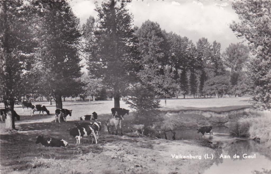 18017 Aan de Geul Valkenburg  Limburg gelopen 1961, Verzamelen, Ansichtkaarten | Nederland, Gelopen, Limburg, 1960 tot 1980, Verzenden