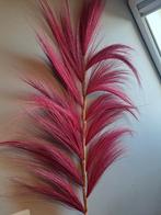 Grote veren - pluimen, Ophalen