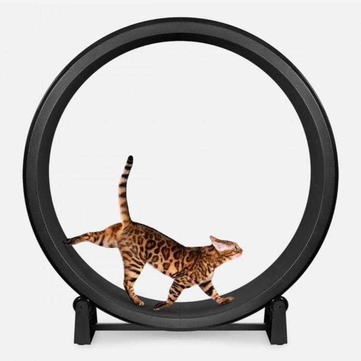 Het kattenloopwiel van One Fast Cat, Dieren en Toebehoren, Kattenspeelgoed, Nieuw, Overig speelgoed, Ophalen