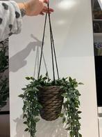 Hangplant, Tuin en Terras, Bloempotten, Rond, Ophalen of Verzenden, Zo goed als nieuw, Aardewerk