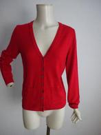 Peter Hahn vest mt 36, Kleding | Dames, Truien en Vesten, Verzenden, Zo goed als nieuw, Peter Hahn, Maat 36 (S)