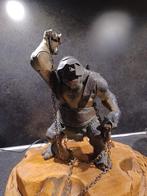 Actie figuren mooie verzameling lord of the rings, Verzamelen, Lord of the Rings, Ophalen of Verzenden, Zo goed als nieuw, Actiefiguurtje