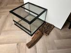 Exo Terra Terrarium Small Low 45x45x30, Dieren en Toebehoren, Reptielen en Amfibieën | Toebehoren, Ophalen, Zo goed als nieuw