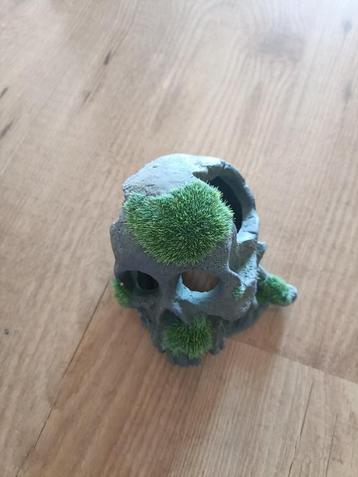 Aquarium assesoires beschikbaar voor biedingen