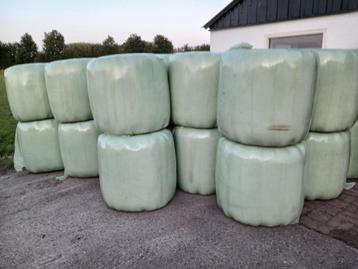 Midi balen paarden/schapenhooi beschikbaar voor biedingen