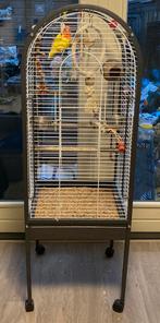 Mooie grote vogelkooi met toebehoren, Dieren en Toebehoren, Vogels | Hokken en Kooien, Ophalen of Verzenden, Zo goed als nieuw