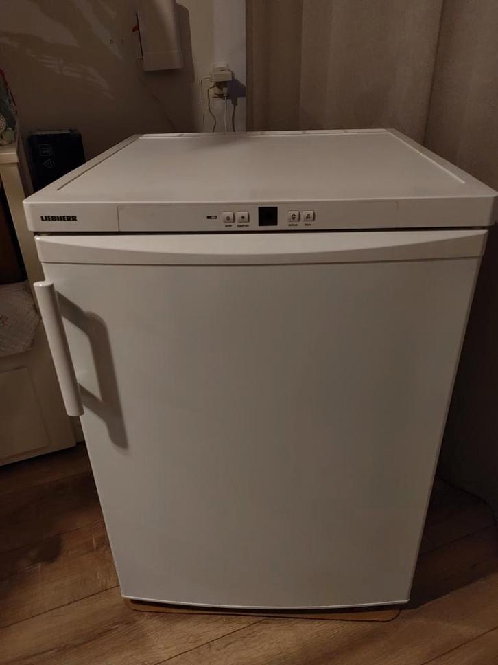 Diepvrieskast, Liebherr GP 148620. Vriescapaciteit 103 Liter, Witgoed en Apparatuur, Vriezers en Diepvrieskisten, Zo goed als nieuw