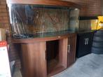 Juwel vision 450 aquarium, Dieren en Toebehoren, Ophalen, Gebruikt, Leeg aquarium