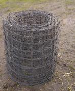 Gaas ursus schapengaas 80 cm hoog, Mannelijk, Schaap